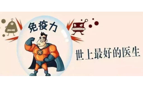 抗擊新型冠狀病毒，真正的“特效藥”是自身的免疫力！
